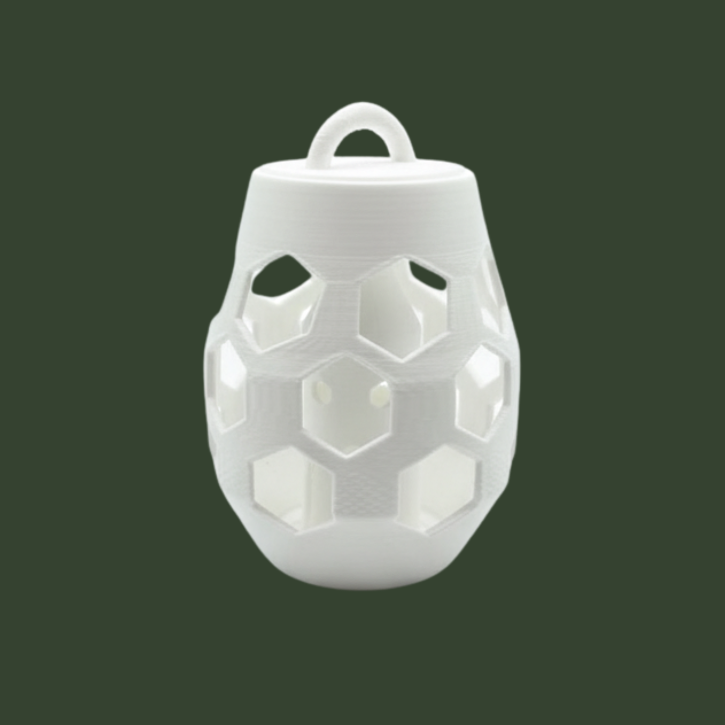 The Honey Pot carp feeder