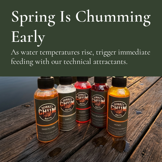 What is Chumming? — A Carp Fishing Technique Guide