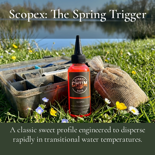 Boilie Fishing for Carp — A South African Perspective