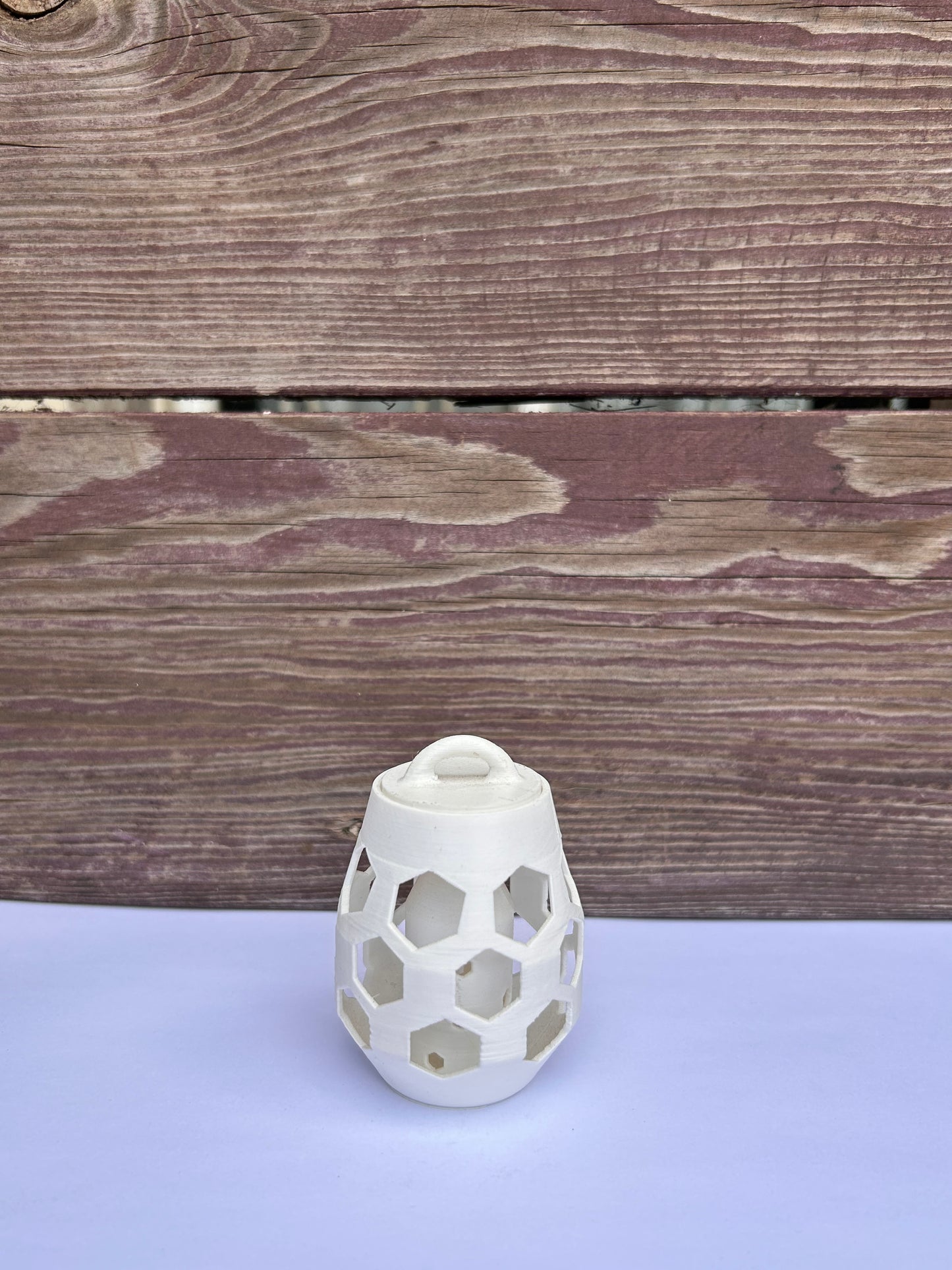 The Honey Pot carp feeder
